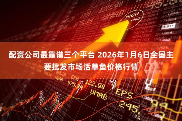 配资公司最靠谱三个平台 2026年1月6日全国主要批发市场活草鱼价格行情
