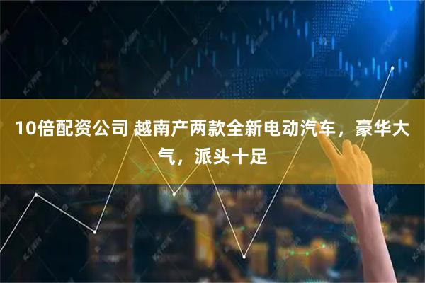 10倍配资公司 越南产两款全新电动汽车，豪华大气，派头十足