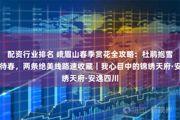 配资行业排名 峨眉山春季赏花全攻略：杜鹃抱雪，珙桐待春，两条绝美线路速收藏｜我心目中的锦绣天府·安逸四川